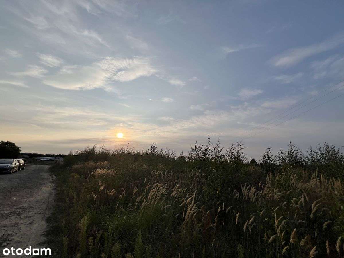 Działka, 881 m², Potrzanowo - Pełny obrazek: 4/5
