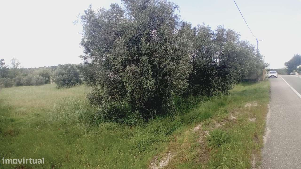 Terreno Rústico com Potencial de Construção – Venda Nova, Zona Cent - Grande imagem: 4/12