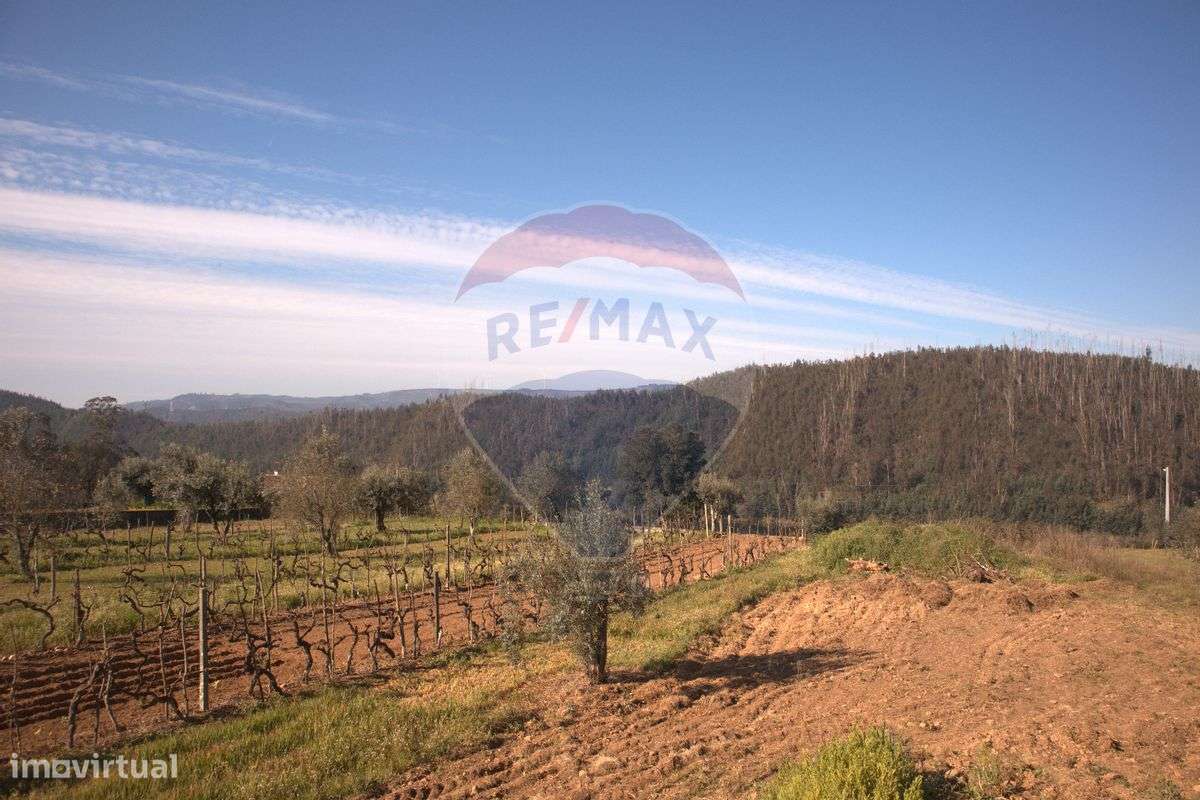 Terreno  para venda - Grande imagem: 4/30