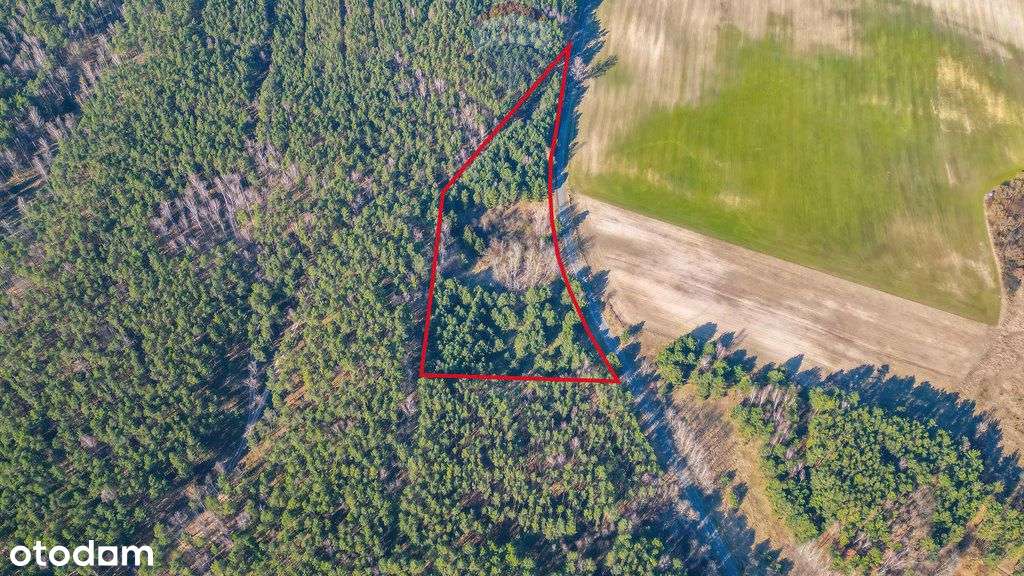 Działka rolna Kuźnica Żelichowska jezioro widoki - Pełny obrazek: 3/6