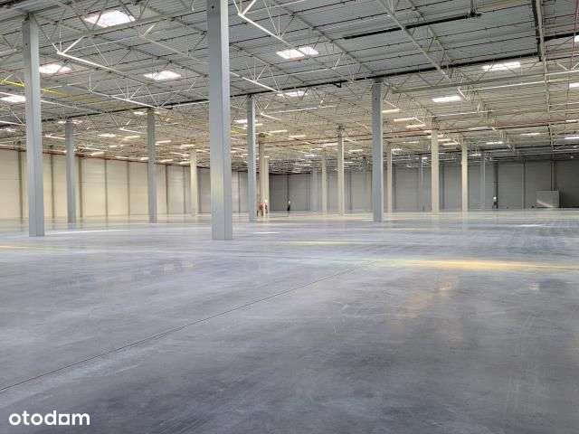 Hala magayznowa przy autostradzie A4 - Pełny obrazek: 4/5