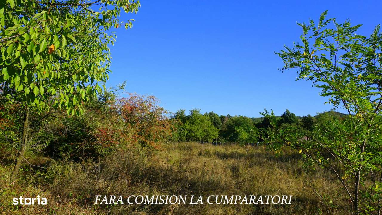 BUDESTI, TEREN 1000 MP, PRIVELISTE MINUNATA - Imagine principală: 4/13