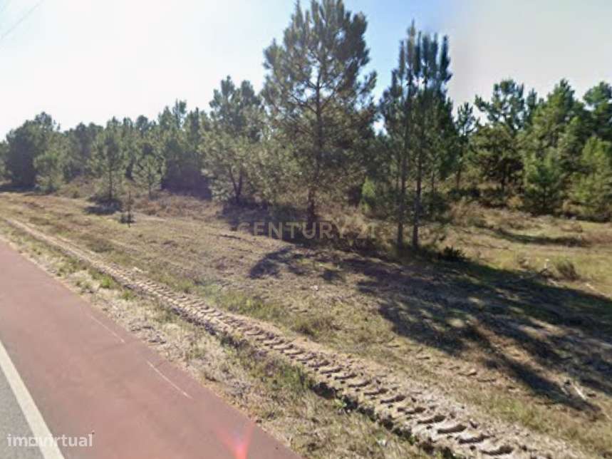 Terreno - Grande imagem: 4/6