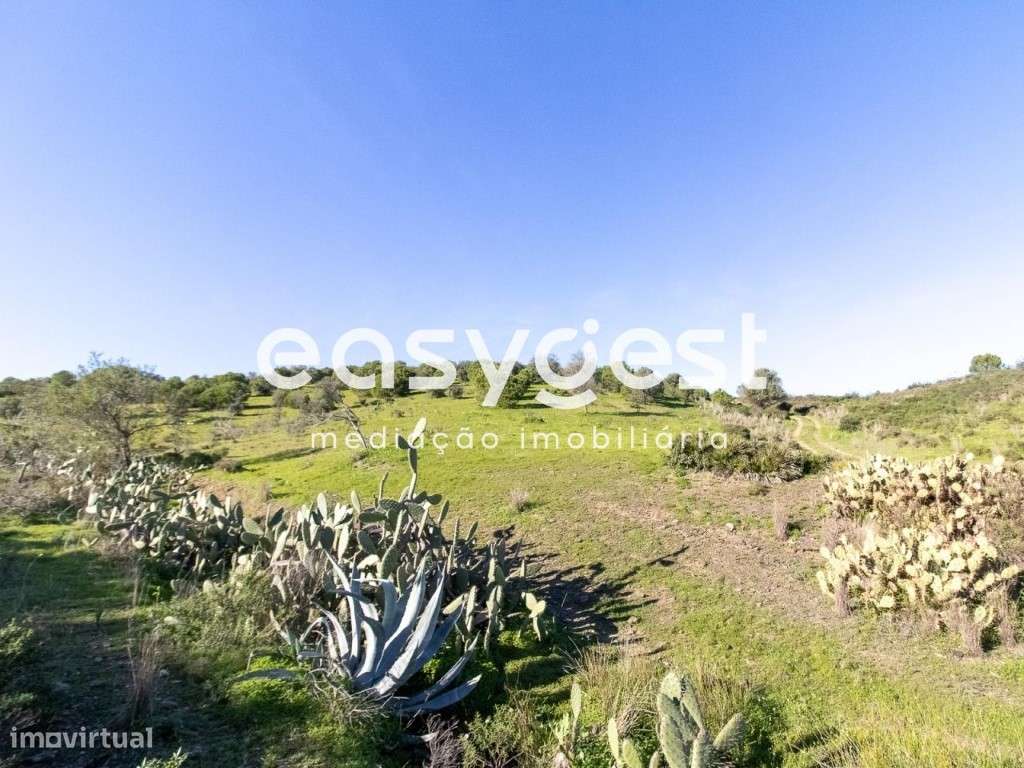 Lote de Terreno Rustico para cultura de sequeiro nas Fontainhas - Grande imagem: 2/14