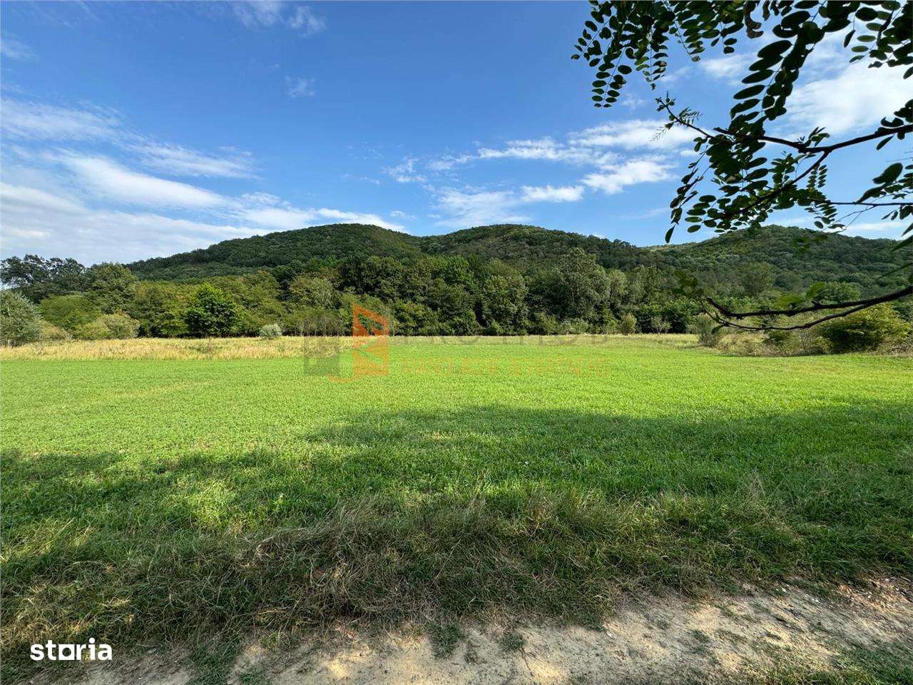 Teren intravilan zona Mierea, com. Vernesti - Imagine principală: 4/5