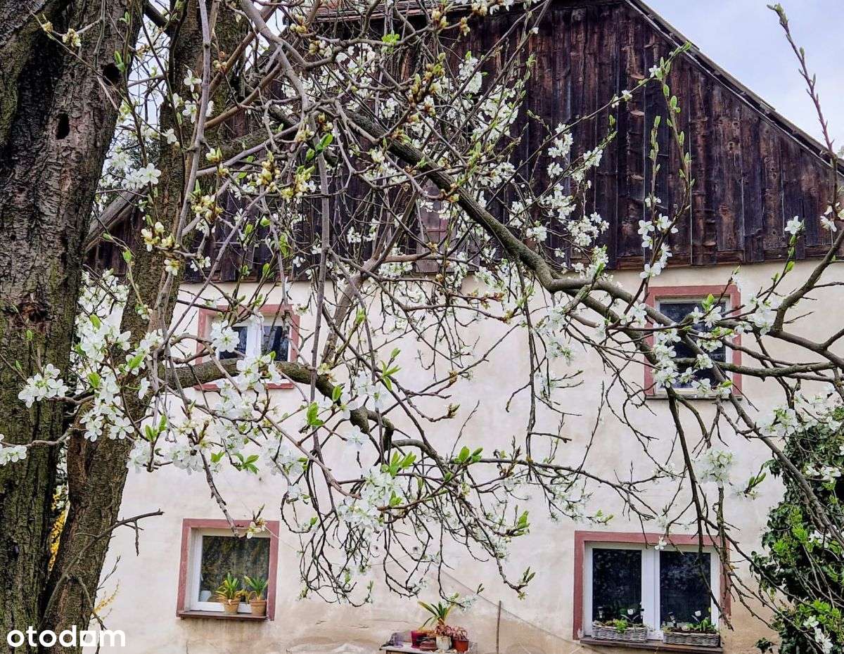 Spokojne miejsce pod agroturystykę-13