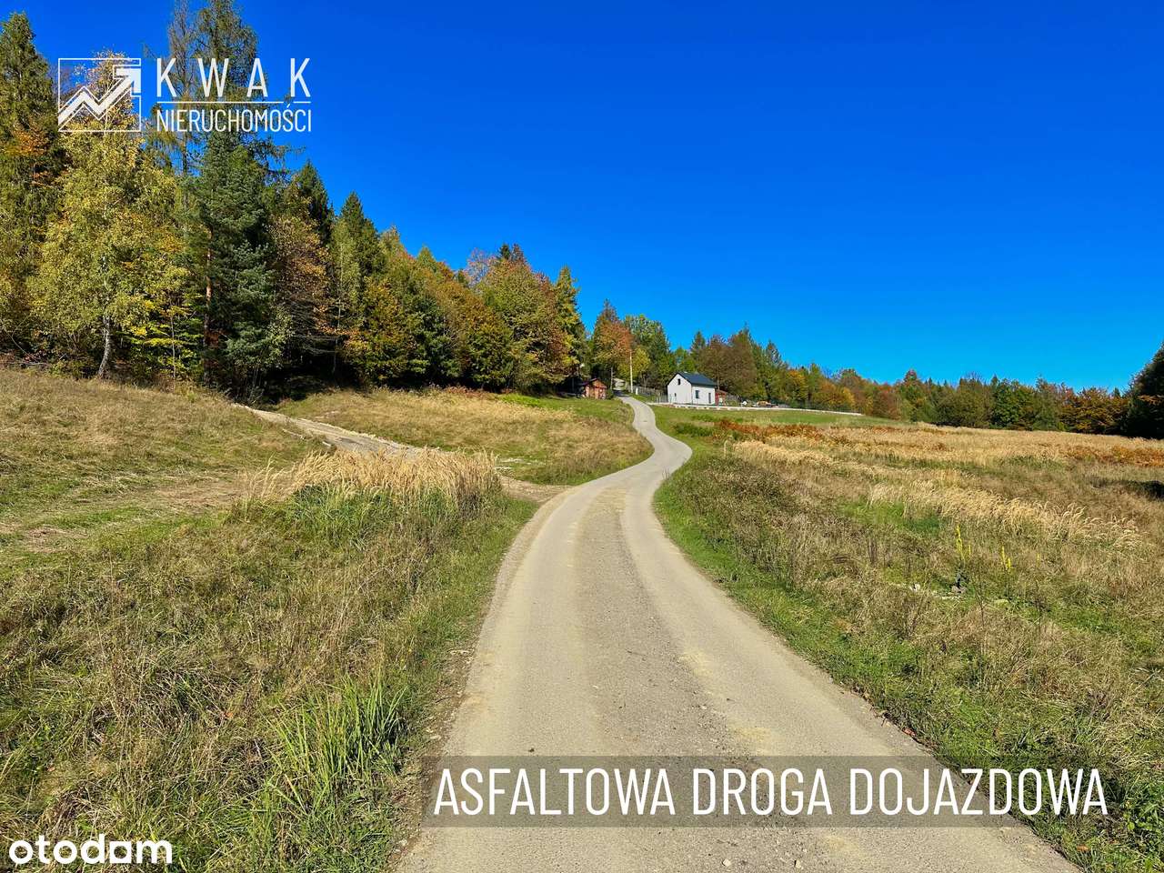 Działka pod Twój dom w górach Jeleśnia Janiki-15