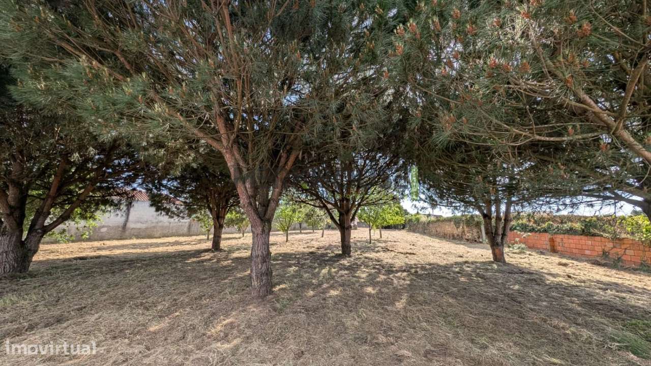 Terreno para construção - Salreu - Grande imagem: 4/4