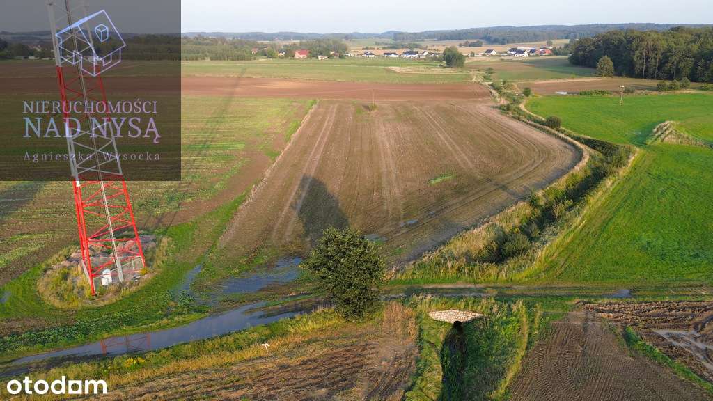 działka rolna na sprzedaż, pow. 13179 m2, Trójca! - Pełny obrazek: 5/5
