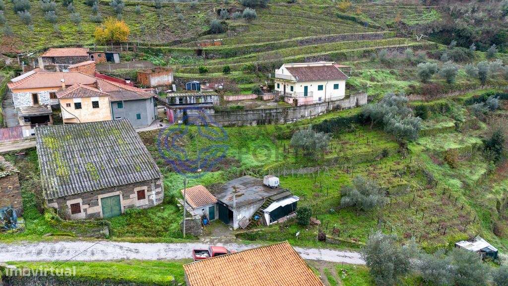 Armazém agrícola, com lagar, terrenos e ruinas, com vocação de investi - Grande imagem: 2/40