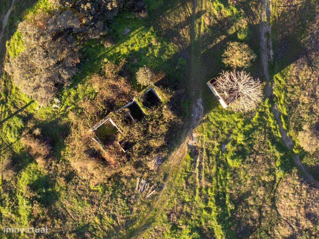 Quinta com monte em ruinas e com viabilidade de Construção, próxima... - Grande imagem: 3/10