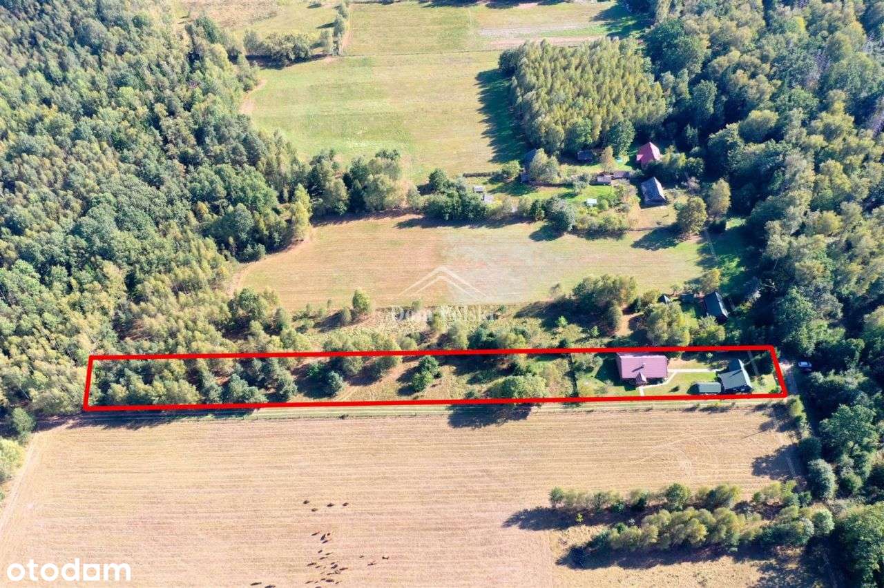 Podlaskie siedlisko w Puszczy Białowieskiej :)-19