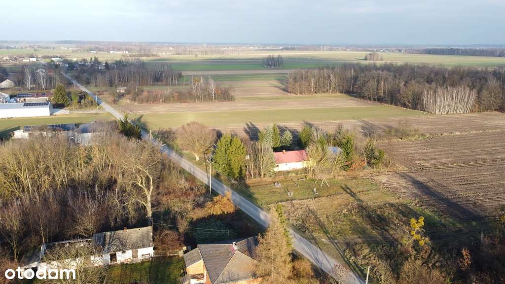 Działka (1182 m2) z WZ w Jabłonowie gm. Policzna. - Pełny obrazek: 4/8