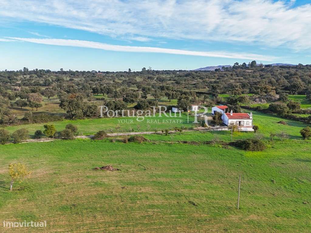 Quinta com 2,9 ha e Monte Alentejano T2 em Portalegre - Grande imagem: 4/26