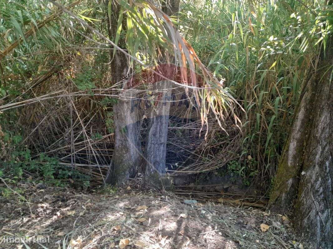 Terreno  para venda - Grande imagem: 4/5