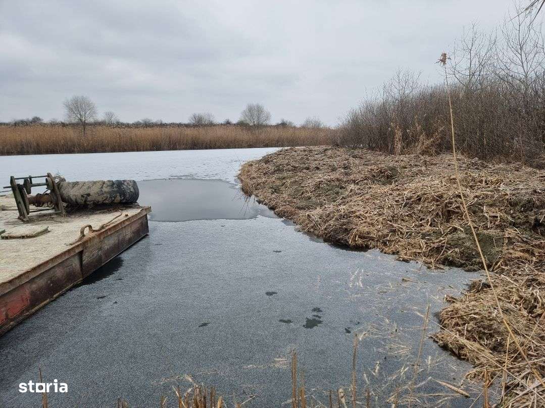 Teren Izvorani iesire Lac | loturi Izvorani | delta Snagov - Imagine principală: 2/13