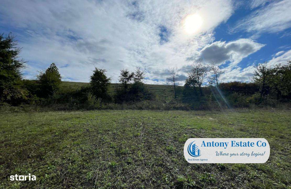 Teren intravilan, de vanzare - Sumugiu, BH - Imagine principală: 5/6