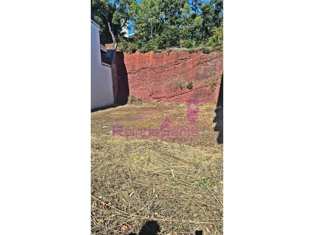 Lote - Quinta de São Jerónimo - Coimbra - Grande imagem: 3/14