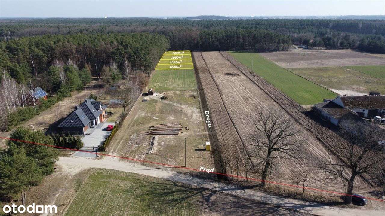 Działki w otulinie lasu w pobliżu Warszawy - Pełny obrazek: 4/13