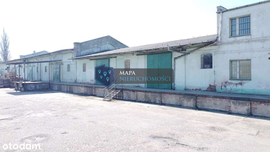 Wynajem dwóch hal magazynowych 425m2 w Centrum - Pełny obrazek: 3/7