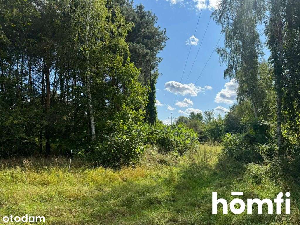 Duża działka w cichej okolicy | Pkp - Pełny obrazek: 4/10