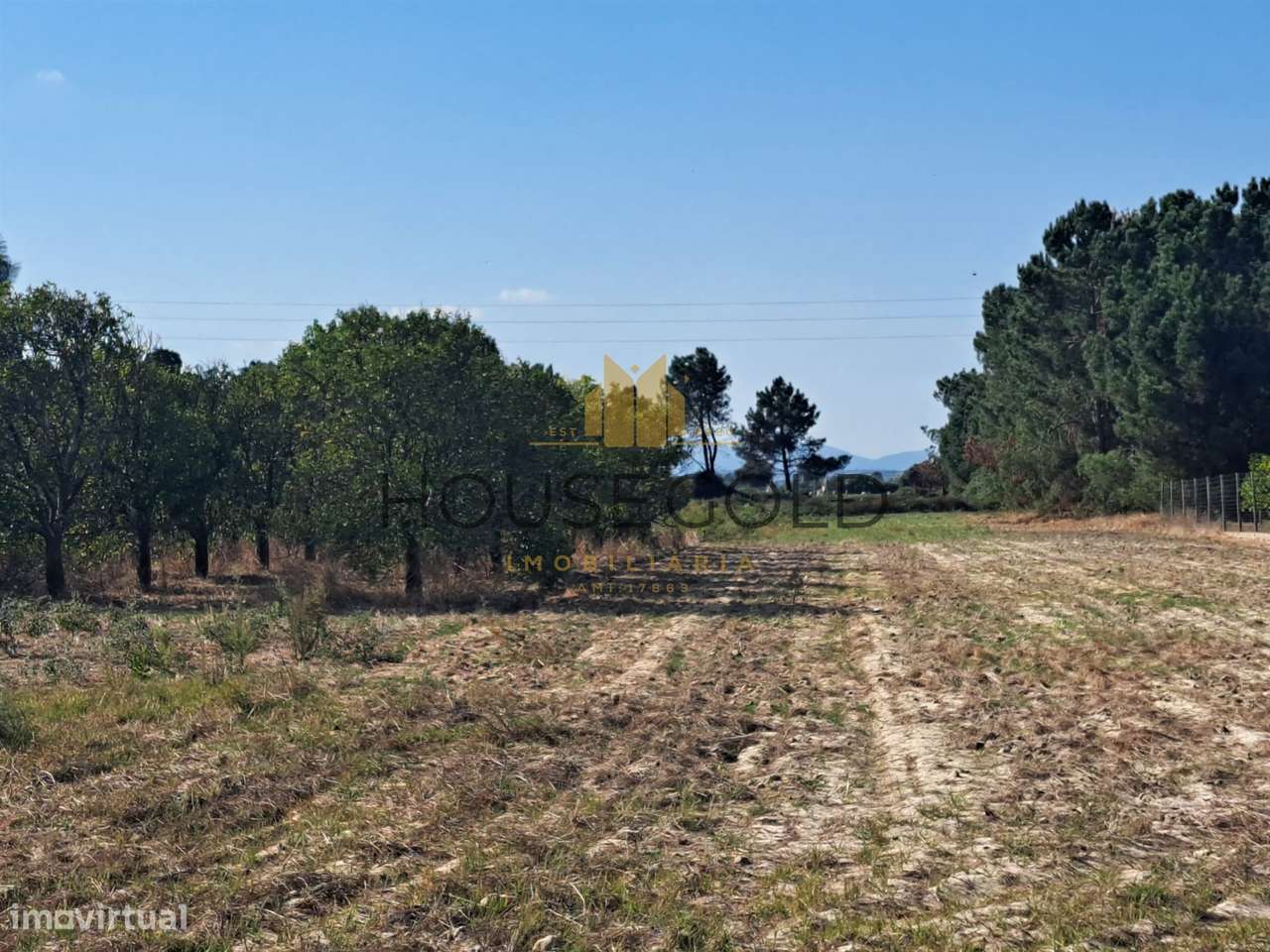 Terreno Rústico  Venda em Marinhais,Salvaterra de Magos - Grande imagem: 5/6