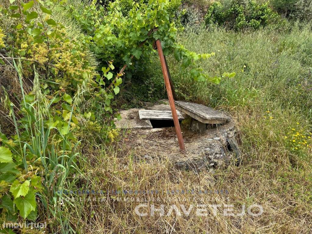 Quintinha com duas casas de campo e uma arrecadação a cerca de 4 km...-31