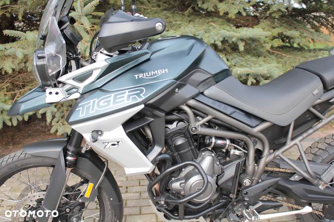 Triumph Tiger - 21