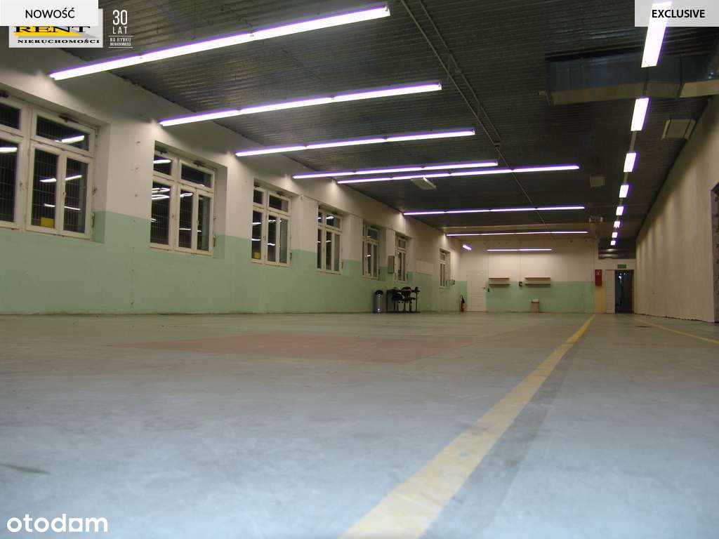 Hala z działką Stargard - Pełny obrazek: 5/11