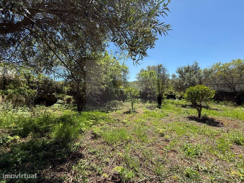 Terreno para Construção | São Brás de Alportel - Grande imagem: 3/18
