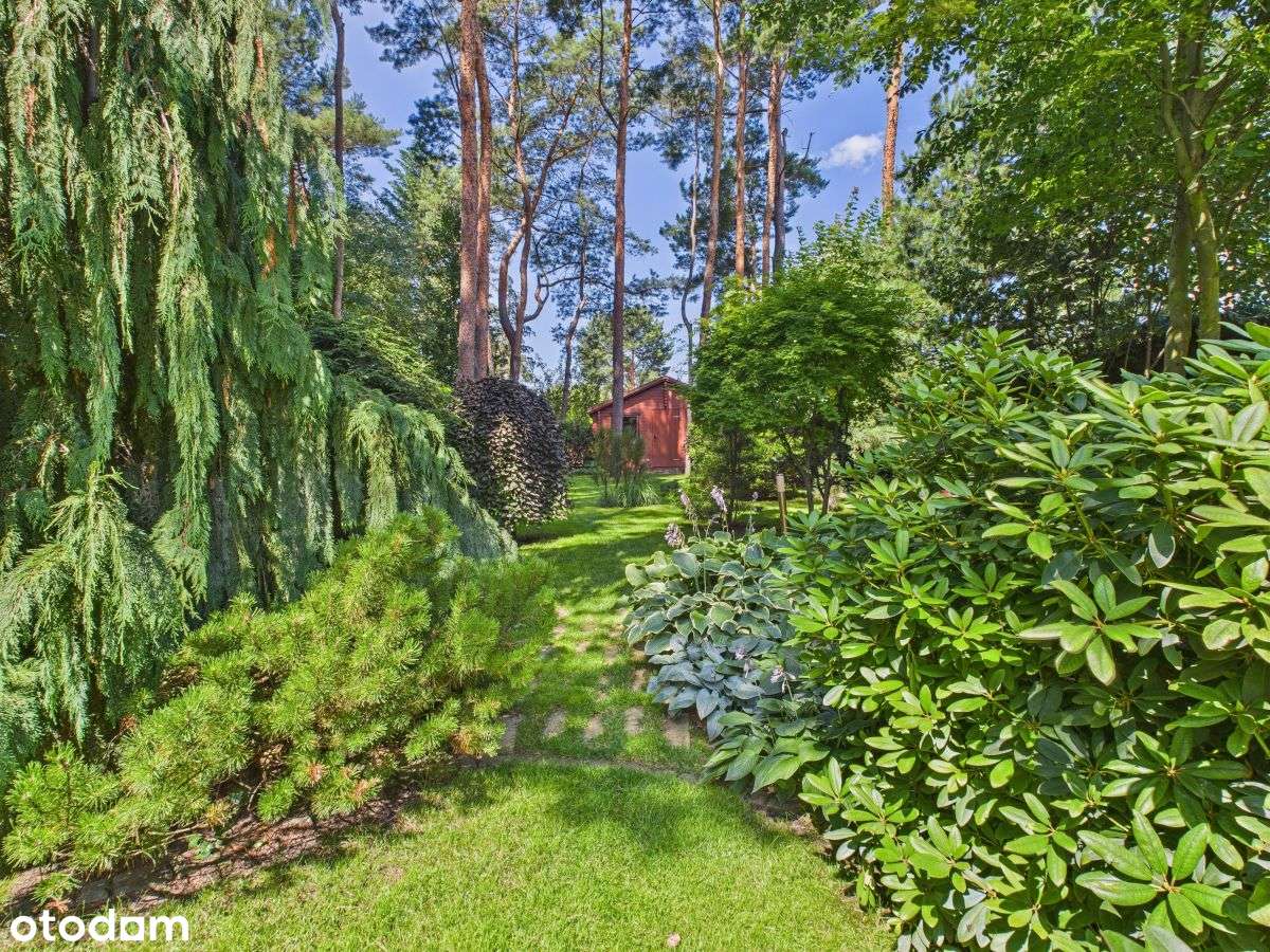 Nietuzinkowa, Absolutnie WyjĄtkowa Lokalizacja-6