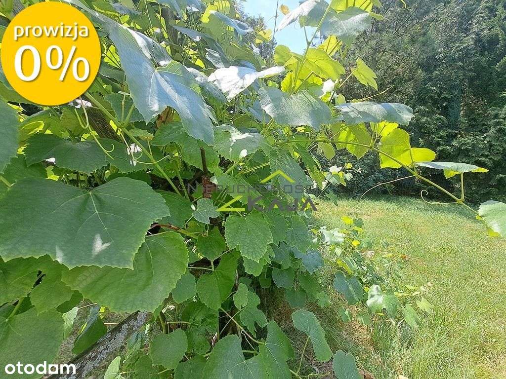 Dom wolnostojący nad rzeką, k. Nowej Soli-14