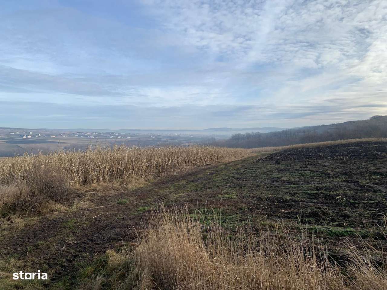 Teren intravilan de vânzare | Cajvana | 7.800 mp-5