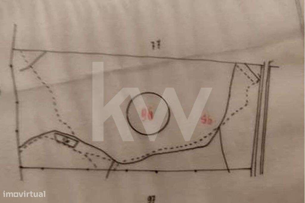 Terreno de 5,8 hectares em Santa Margarida da Serra - Grande imagem: 5/9