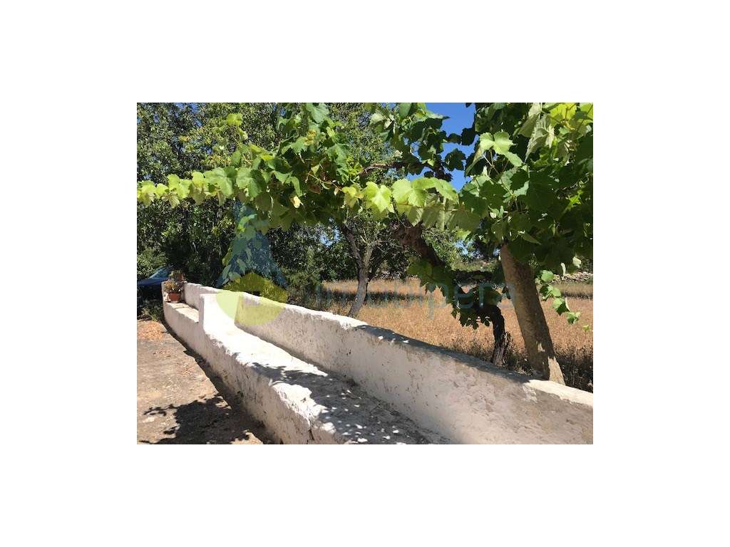 MORADIA T4 / QUINTINHA ALGARVIA COM 47.000 M2 DE TERRENO - Grande imagem: 3/35