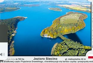 Wydzierżawię działki w Siecinie nad jeziorem