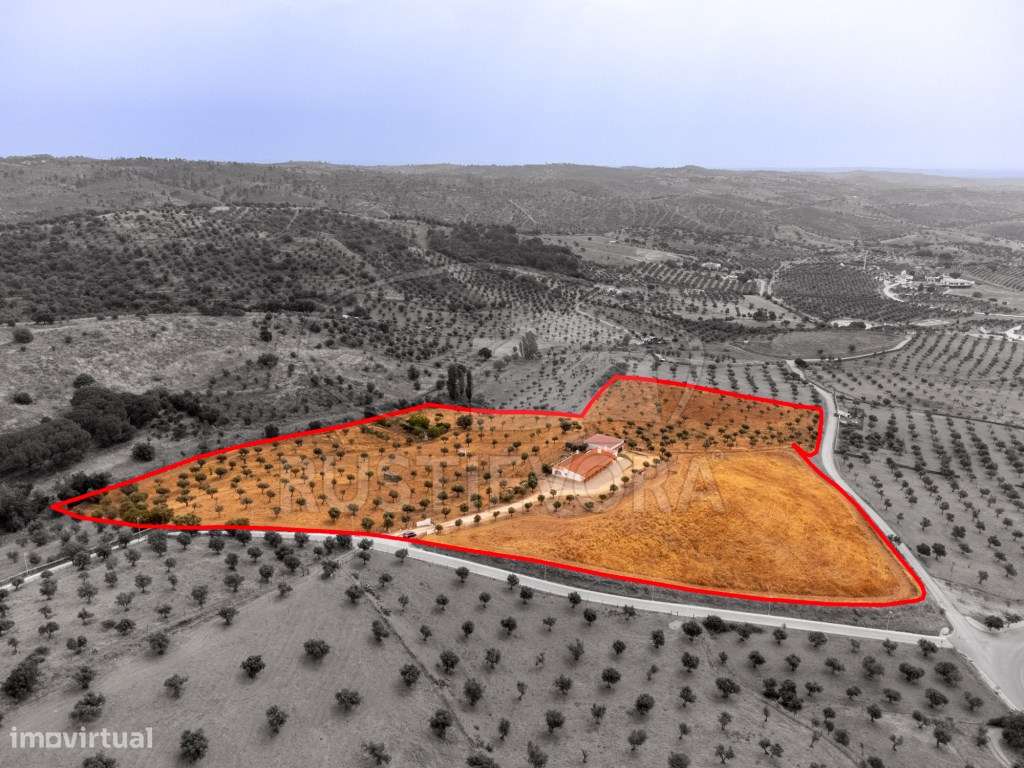 Quinta em Portel - 4,3 Ha de Tradição e Conforto-26