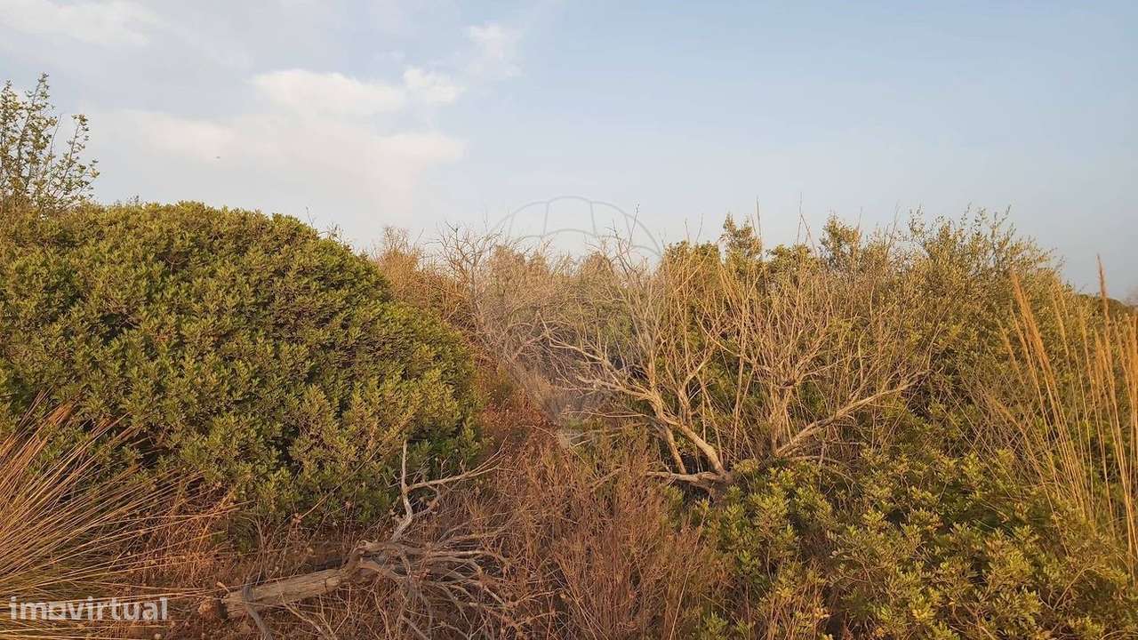 Terreno  para venda - Grande imagem: 2/7