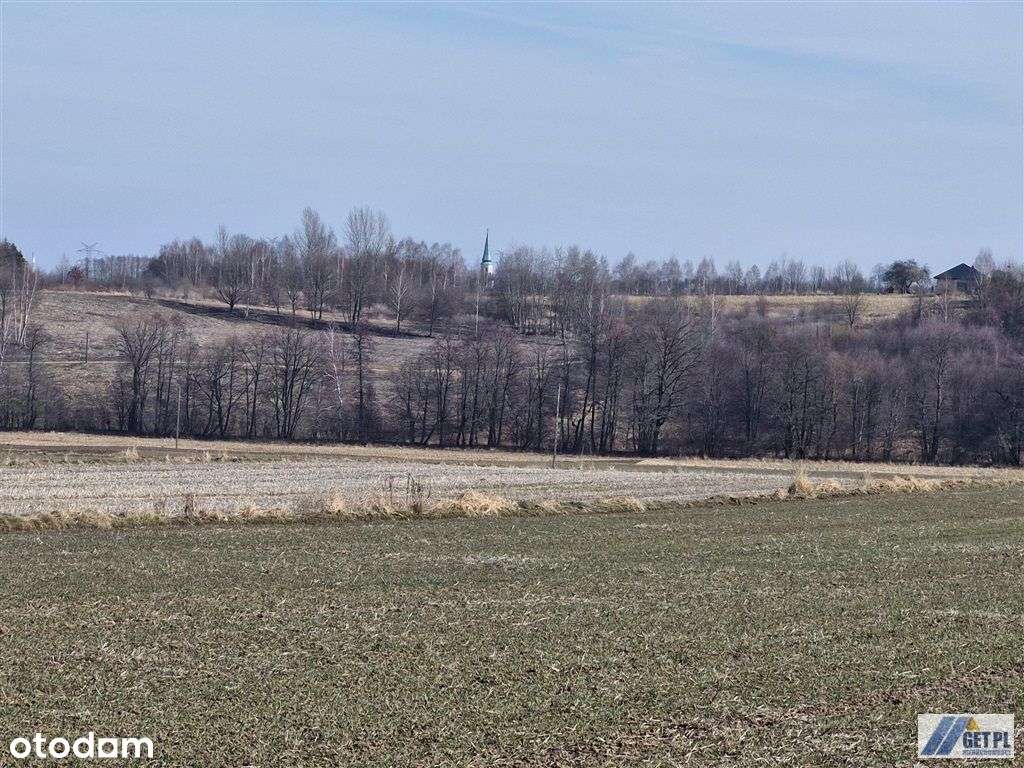 Działka pod zabudowę zagrodową lub domek do 35m2 - Pełny obrazek: 4/9