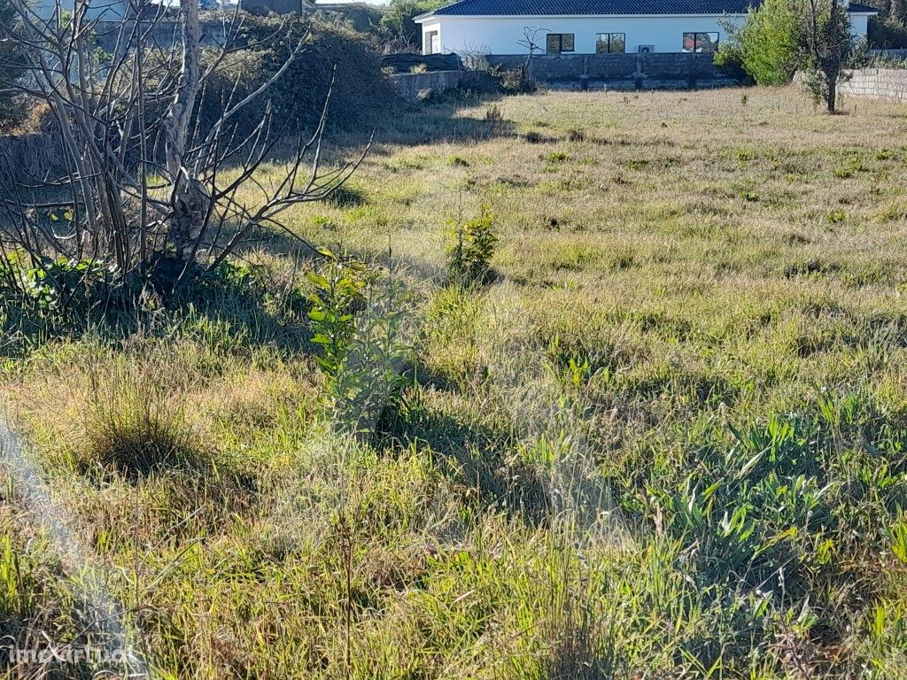 Terreno com viabilidade de construção, sito em Calvão, Vagos