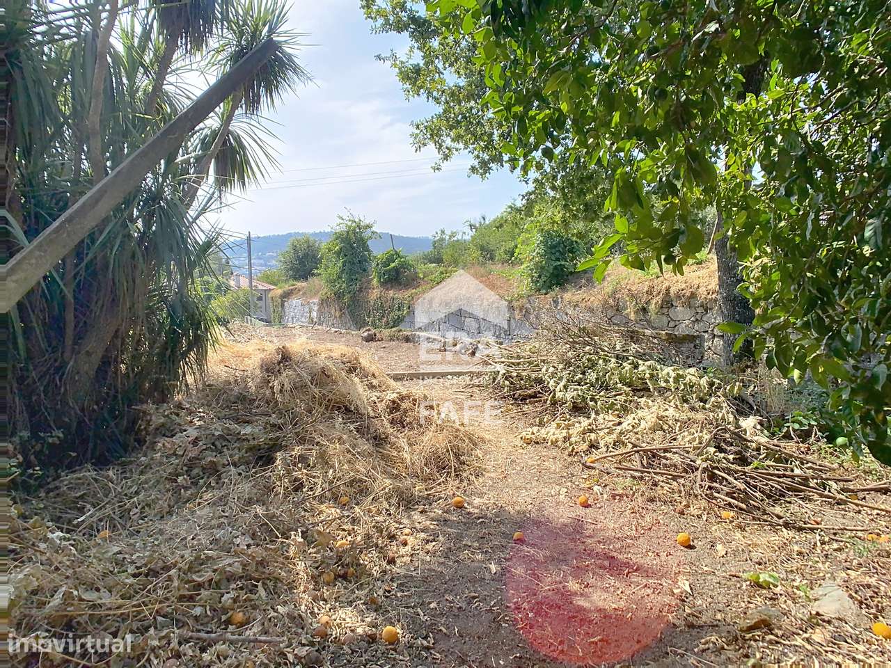 Terreno para construção em Fornelos - Grande imagem: 5/7