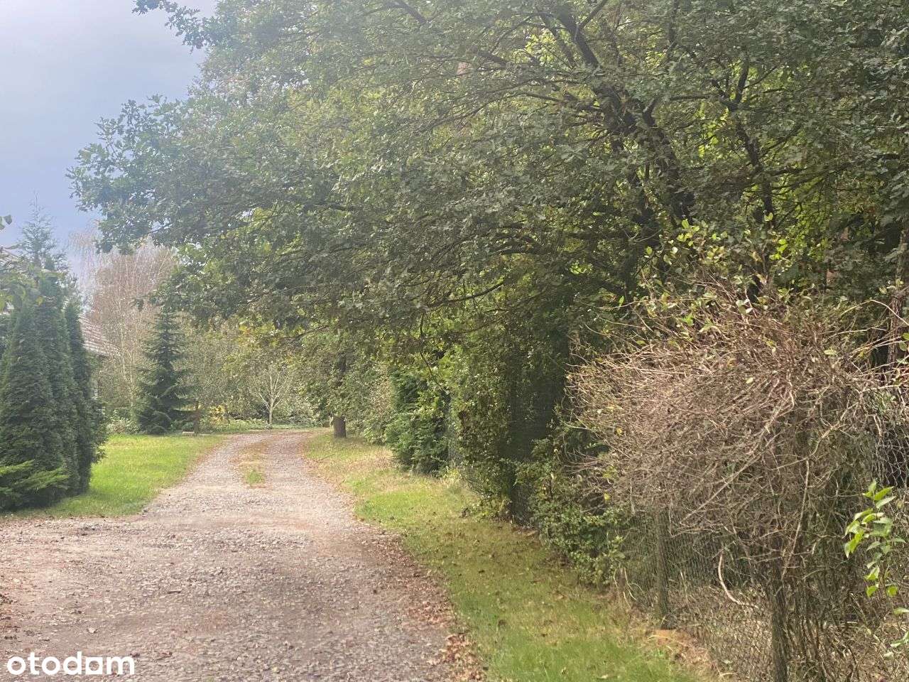 Malownicza działka budowlana na skraju lasu