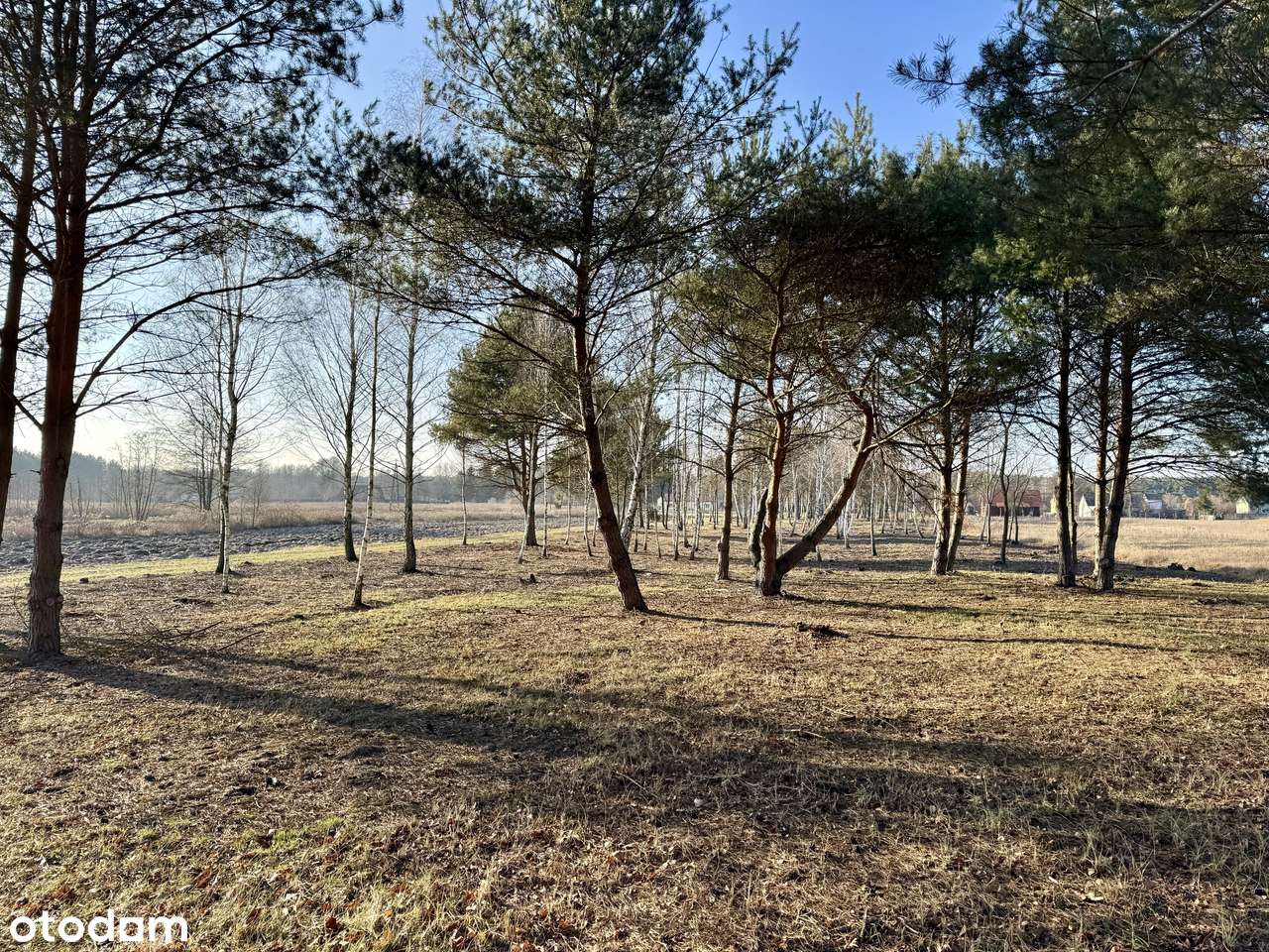 Działki budowlane przy jeziorze Białym-7