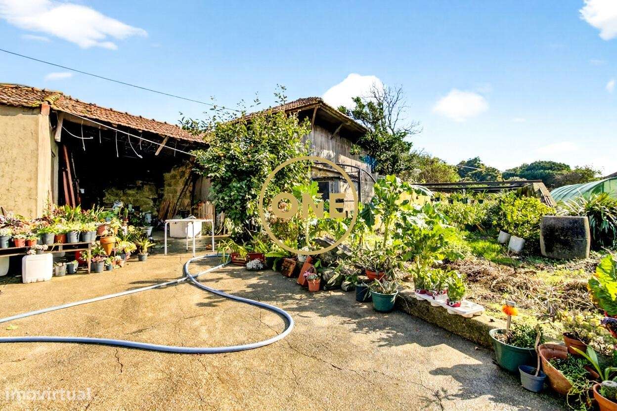 Quinta com 1.9 Hectares no Castêlo da Maia-13