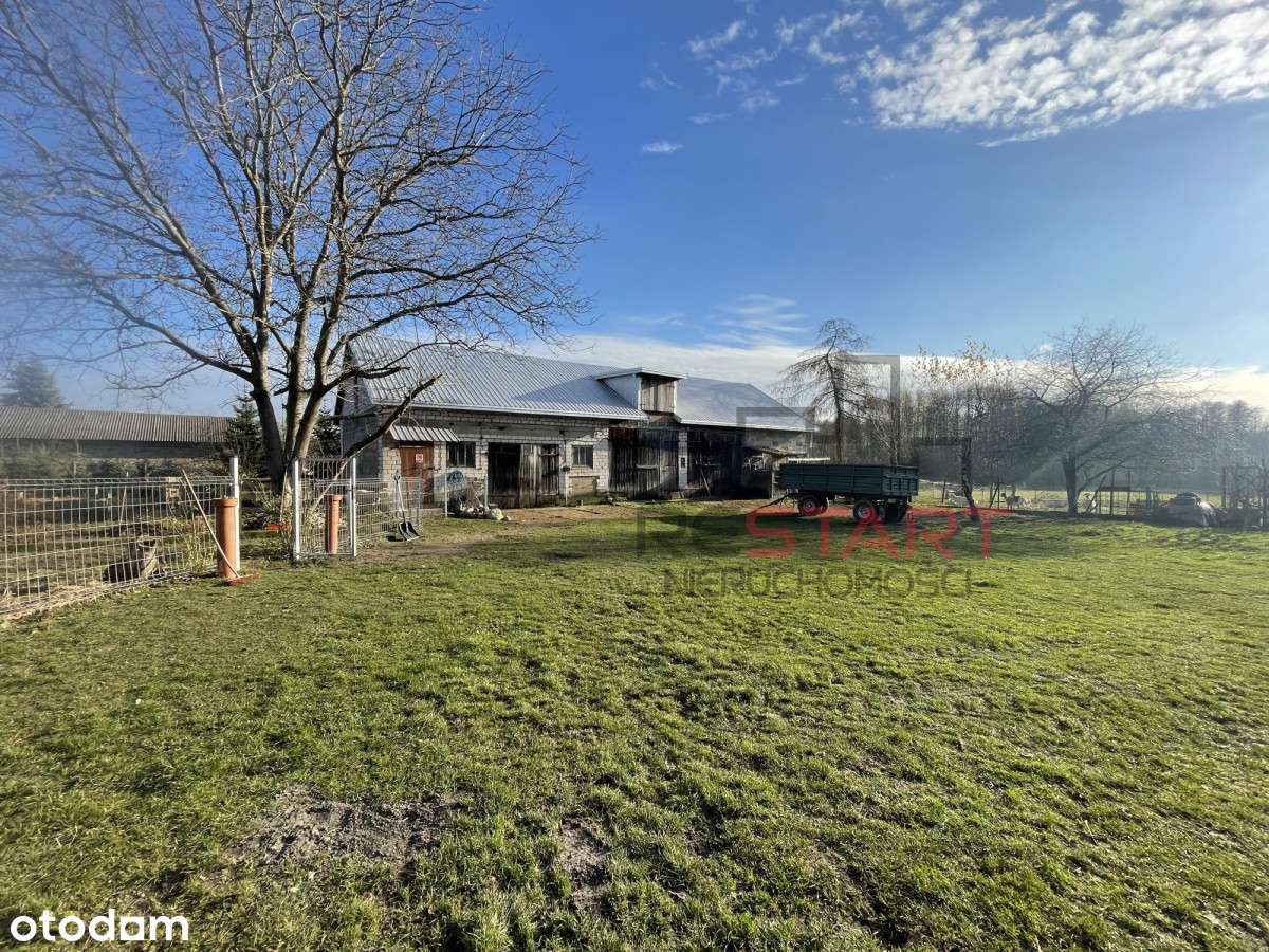 Urokliwe siedlisko w Korabiewicach-11