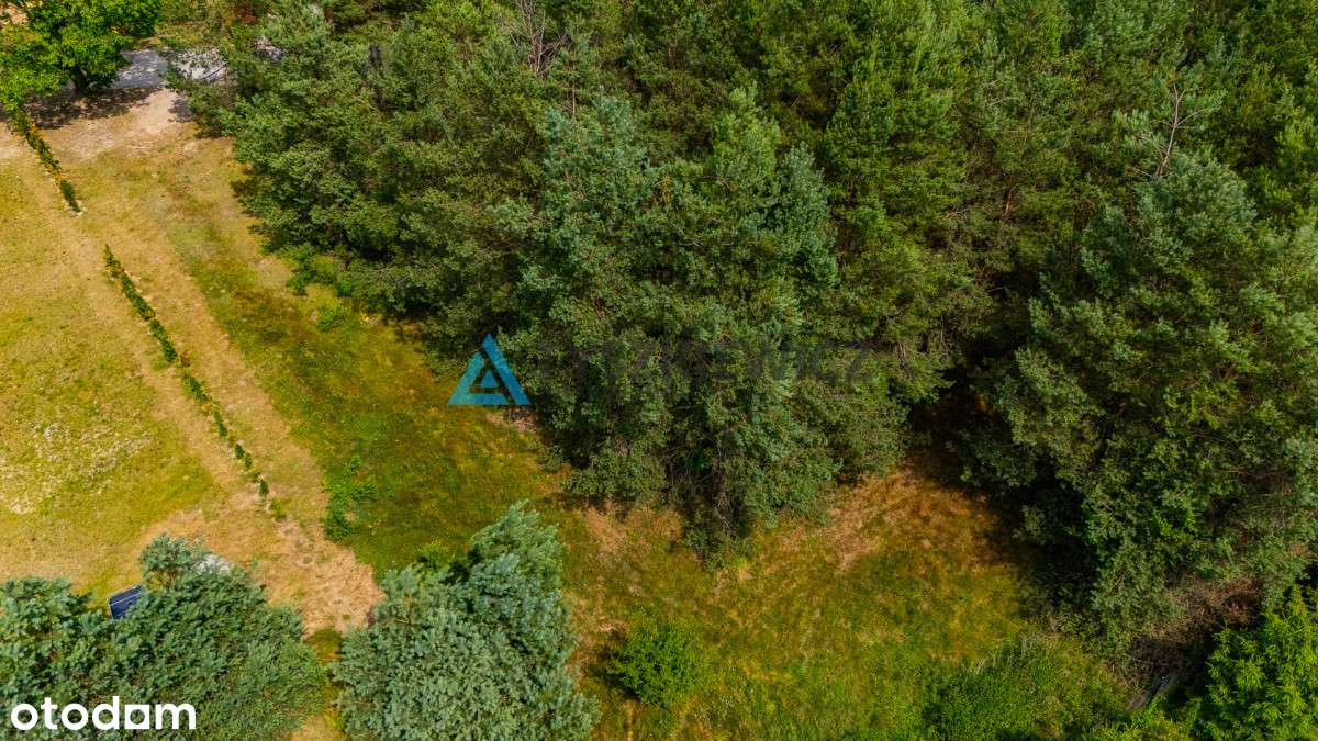 Duża działka w Kaliszu - Pełny obrazek: 5/14