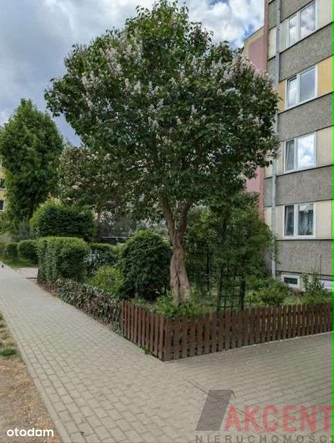 Bardzo ładne 3 pokoje do wprowadzenia-15