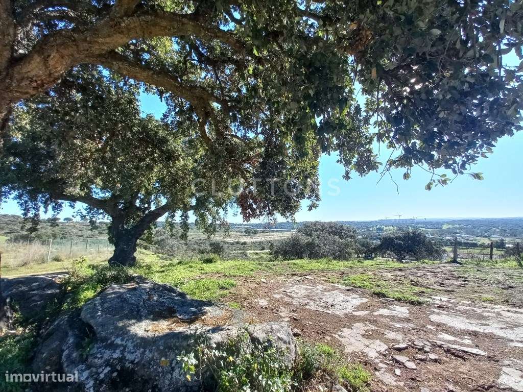 Terreno - Quinta, Investimento, 12 hectares e 844 m2 edificados, Évora-10