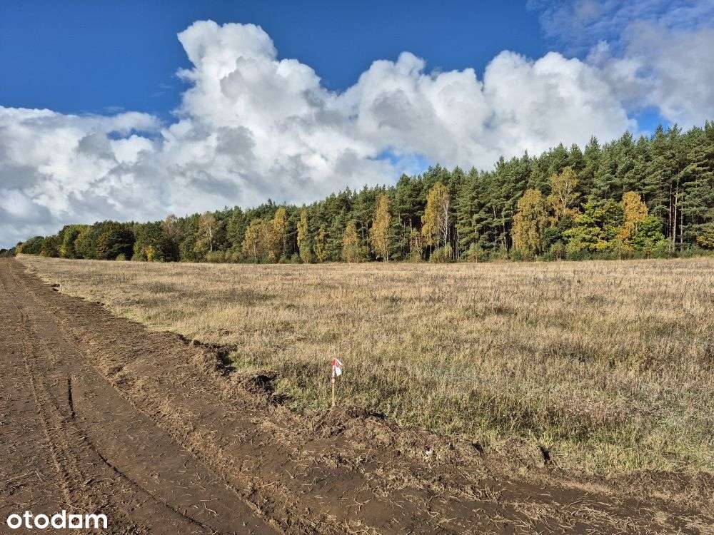 Działki Budowlane Przy Lesie Państwowym-1