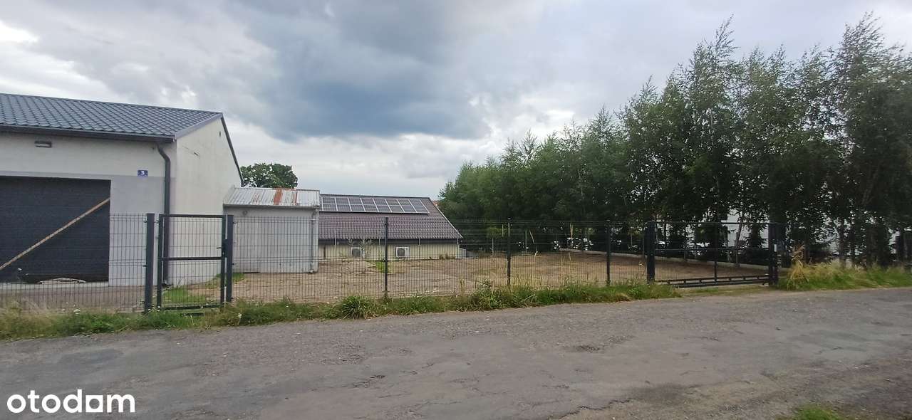 Lokal użytkowy z potencjałem - PILOTÓW 3 - 172 m2 - Pełny obrazek: 3/20